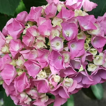 May-apartment Zentrale * קלן