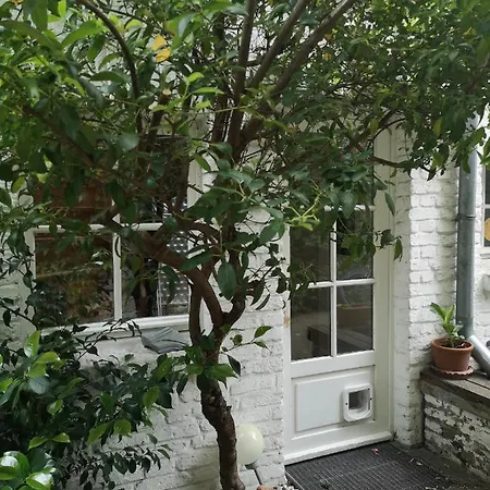 May-apartment Zentrale Appartamento Colonia