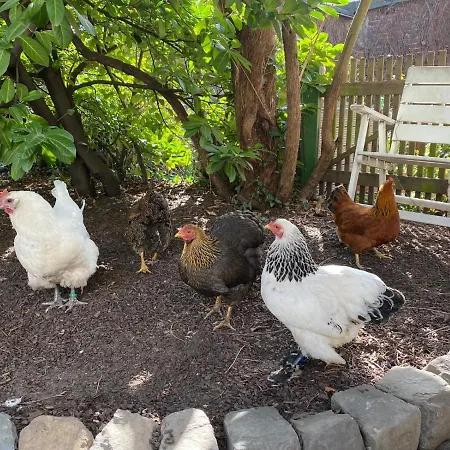 May-apartment Zentrale * Colonia