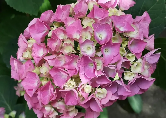 May-apartment Zentrale * קלן