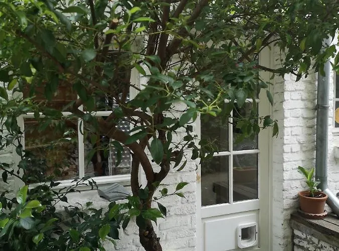 May-apartment Zentrale 公寓 科隆