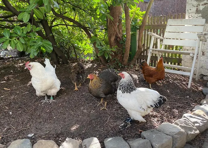 May-apartment Zentrale * Cologne